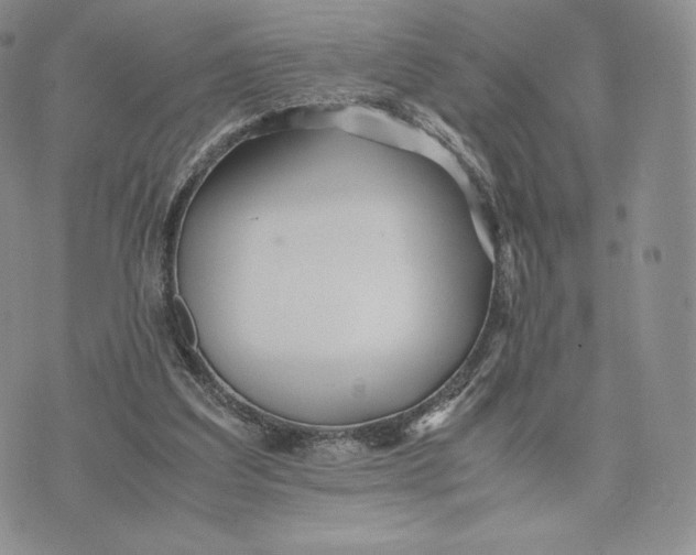 X0000075410203200609291715