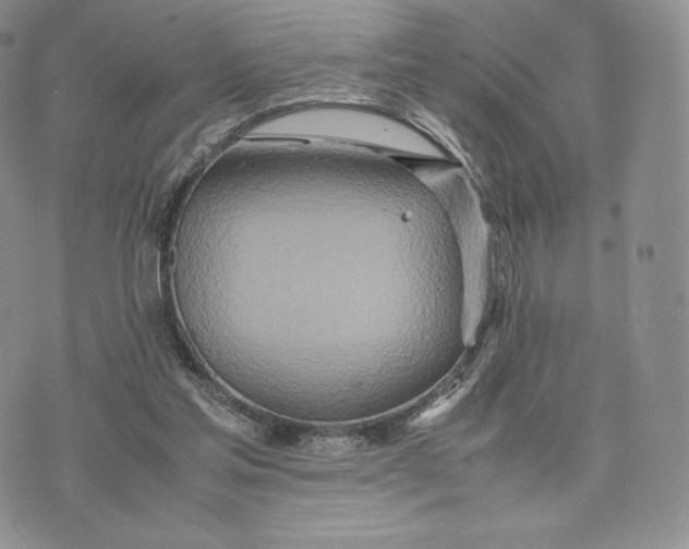 X0000075410205200609291715