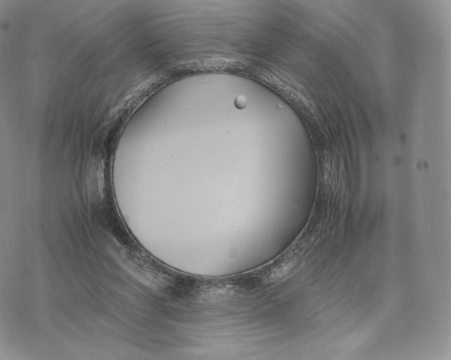 X0000075410206200609291715