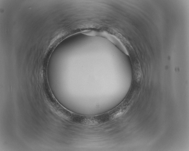 X0000075410207200609291714