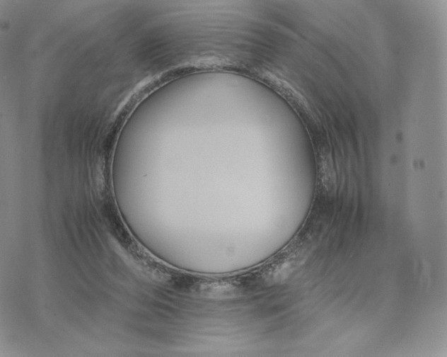 X0000075410208200609291714