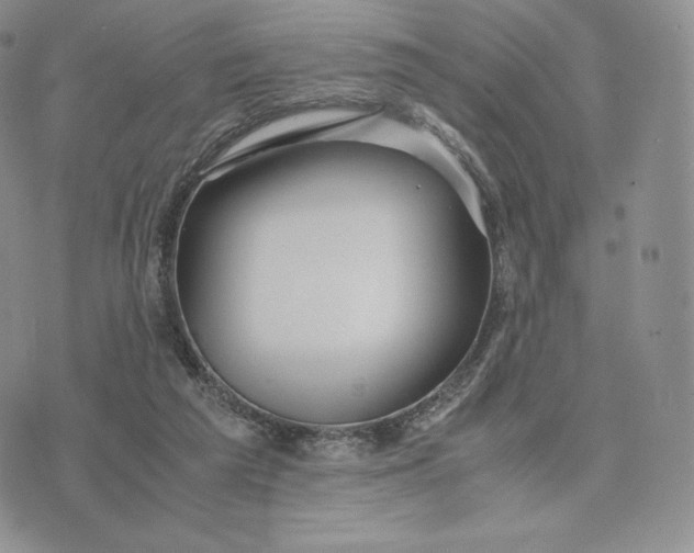 X0000075410209200609291714