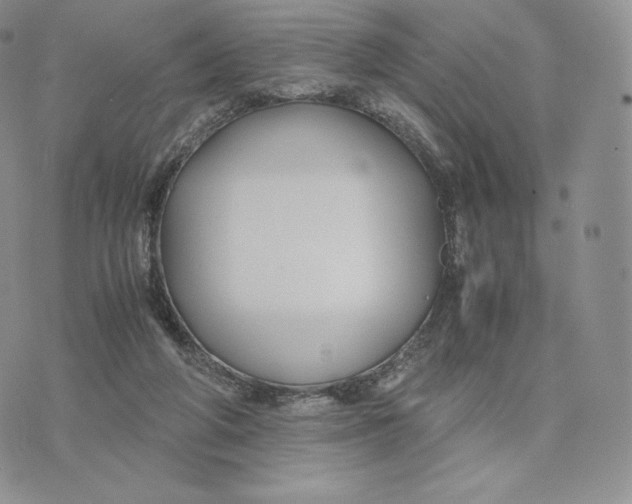 X0000075410210200609291714