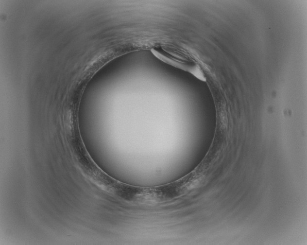 X0000075410211200609291714