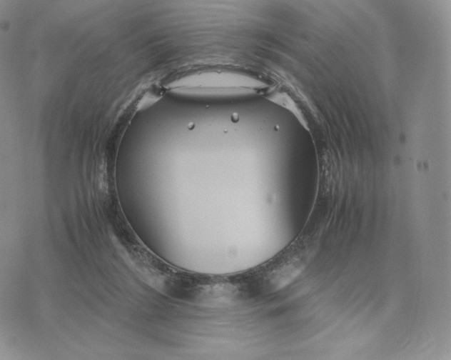 X0000075410212200609291714