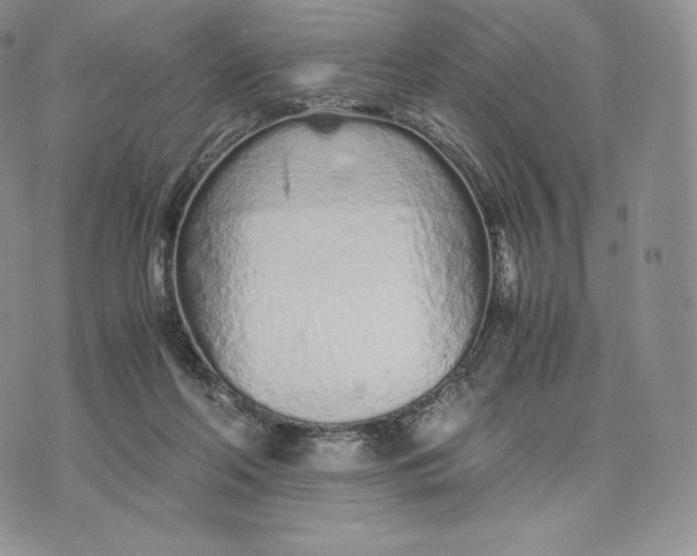 X0000075410214200609291714