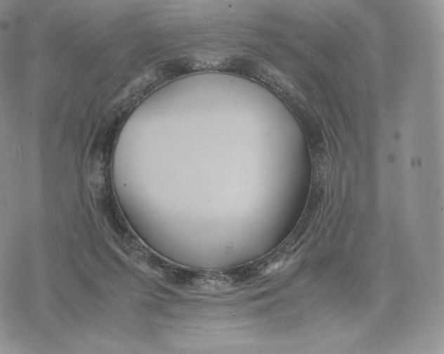 X0000075410215200609291714