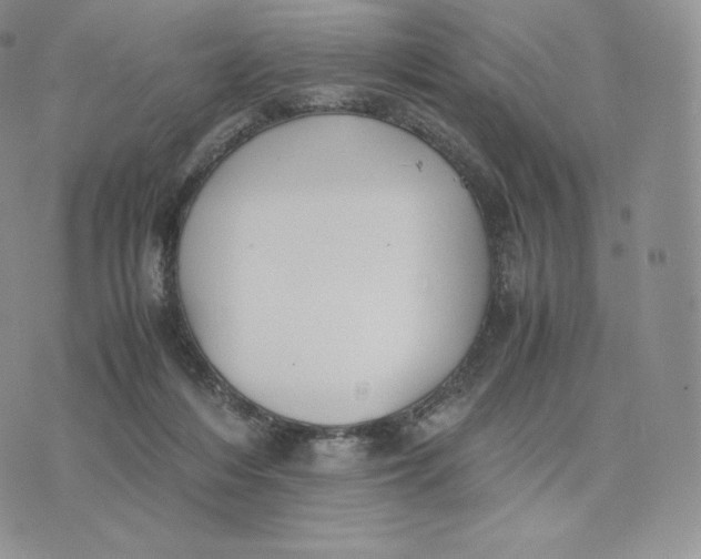 X0000075410216200609291714