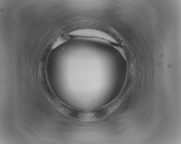 X0000075410217200609291714