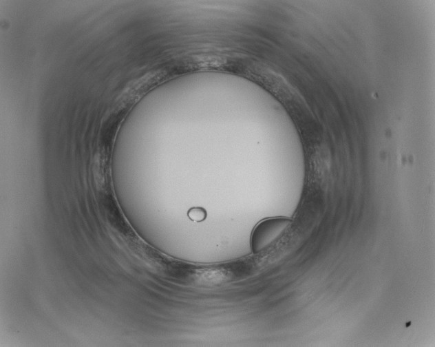 X0000075410218200609291714