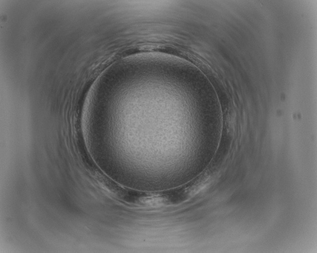 X0000075410219200609291714