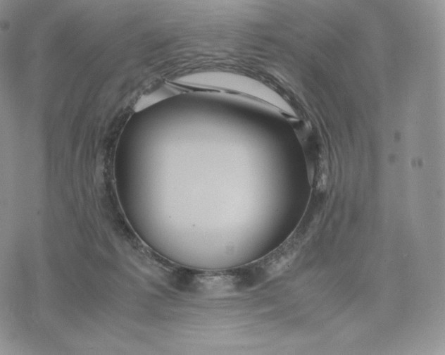 X0000075410221200609291714