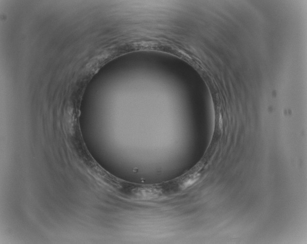 X0000075410223200609291714