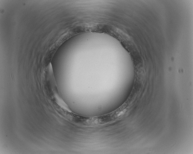 X0000075410225200609291714