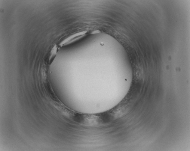 X0000075410226200609291714