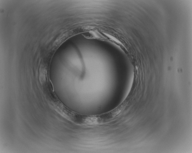 X0000075410227200609291714