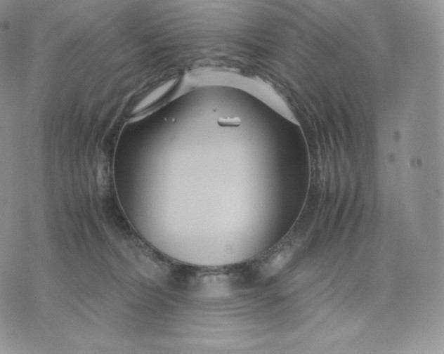 X0000075410228200609291714