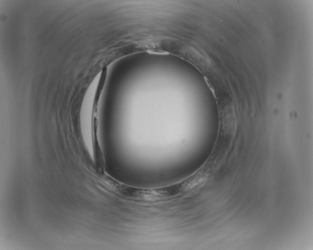 X0000075410229200609291714