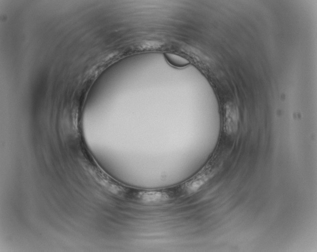 X0000075410230200609291714