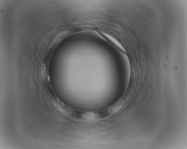 X0000075410231200609291714