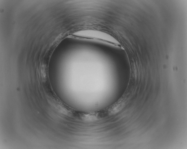 X0000075410232200609291714