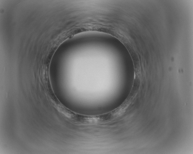 X0000075410233200609291714