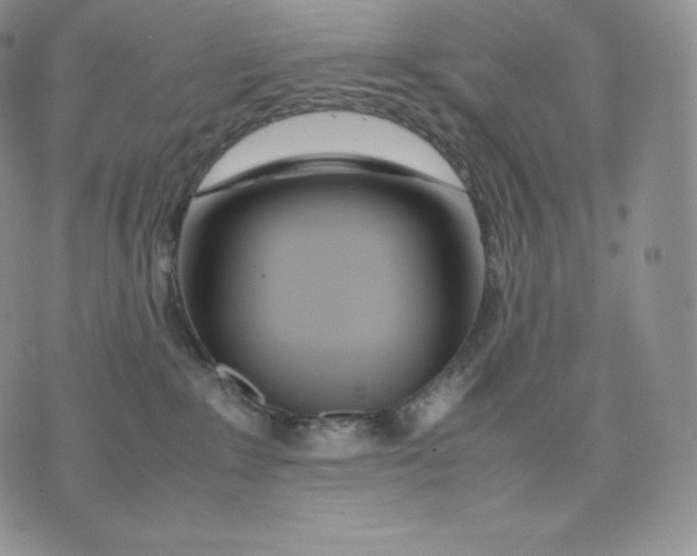 X0000075410235200609291714