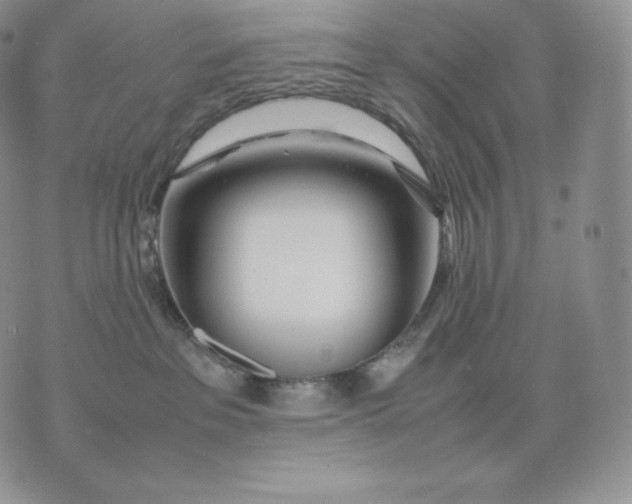 X0000075410237200609291714