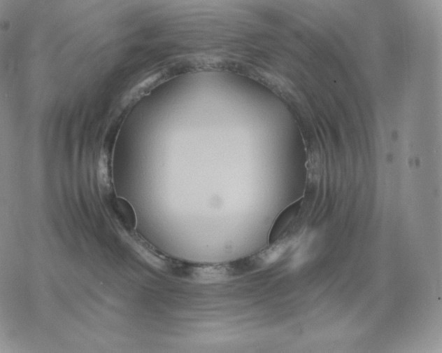 X0000075410238200609291714