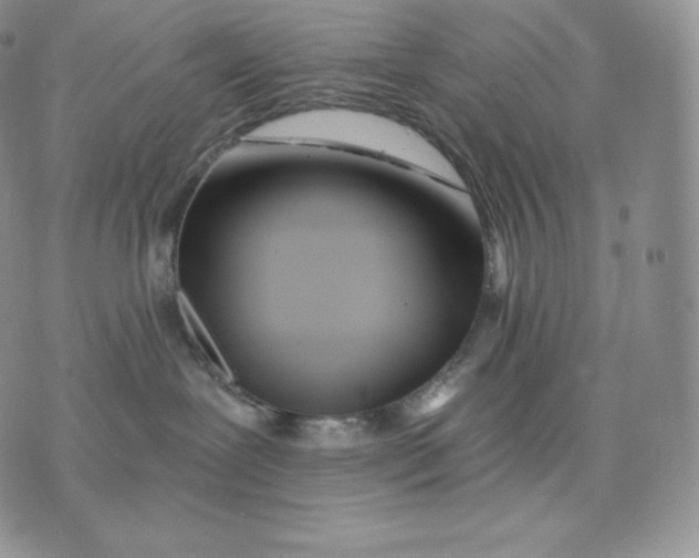 X0000075410239200609291714