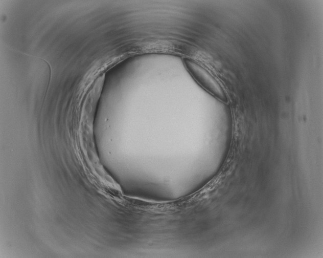 X0000075410241200609291713