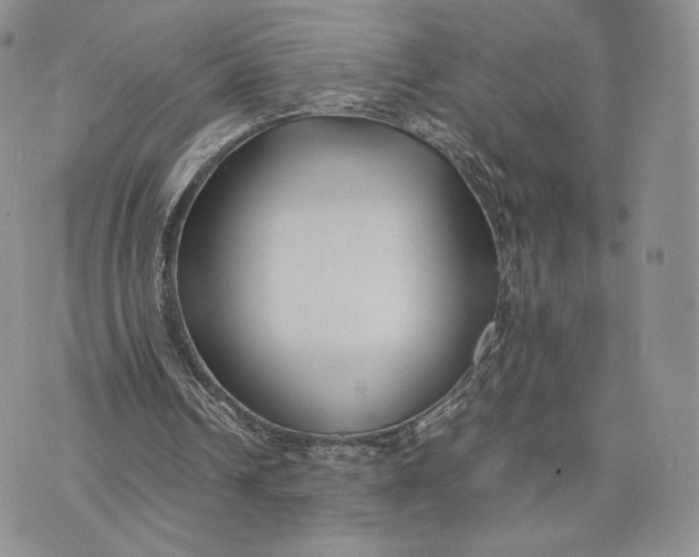 X0000075410242200609291713