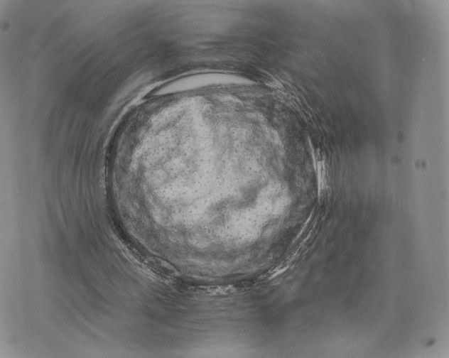 X0000075410243200609291713