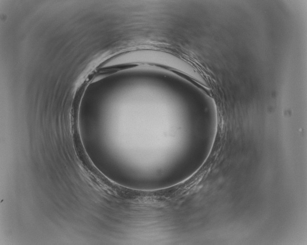 X0000075410244200609291713