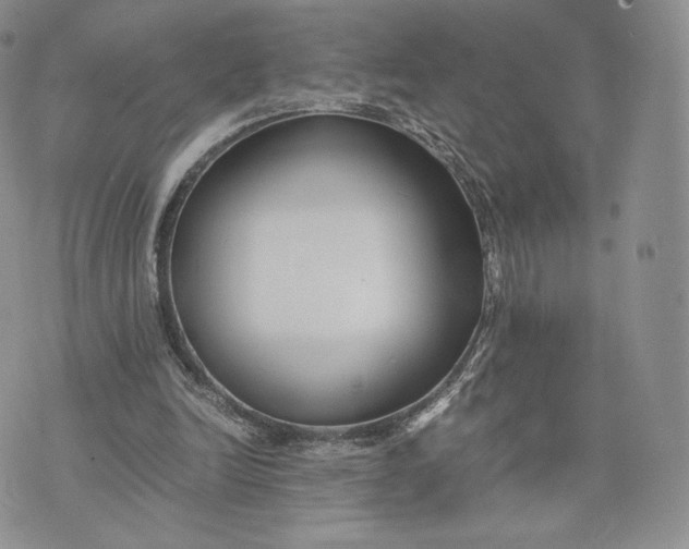 X0000075410246200609291713