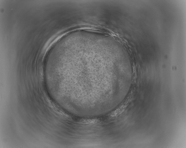 X0000075410247200609291713