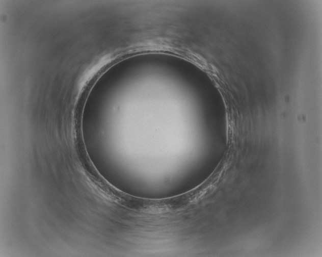 X0000075410248200609291713