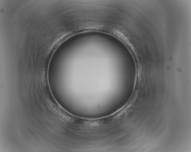 X0000075410249200609291713