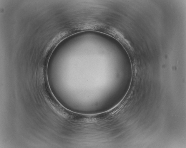 X0000075410250200609291713