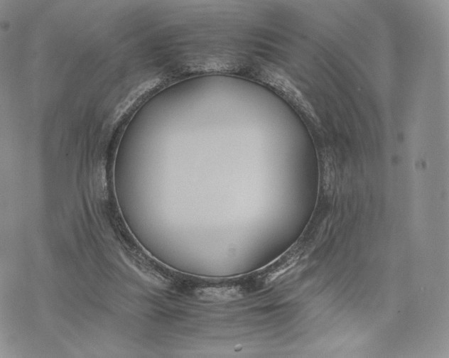 X0000075410251200609291713