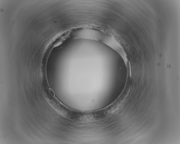 X0000075410252200609291713