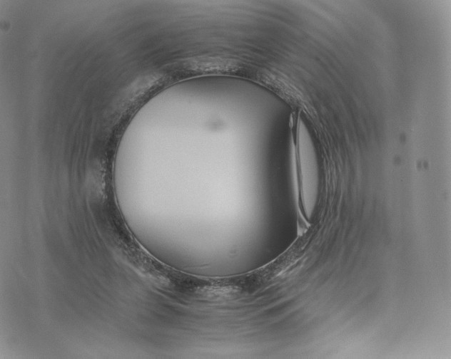 X0000075410255200609291713