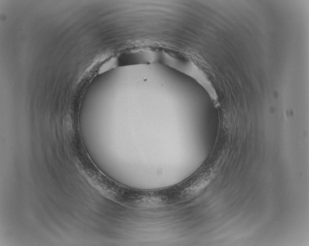 X0000075410256200609291713