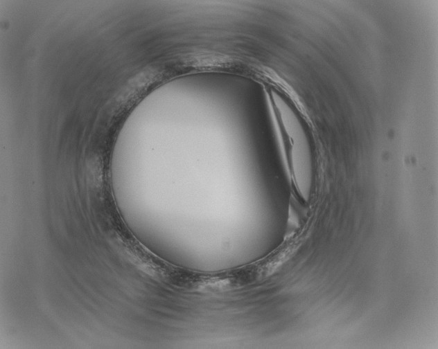 X0000075410257200609291713