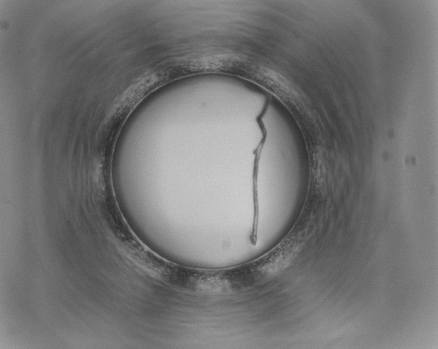 X0000075410258200609291713