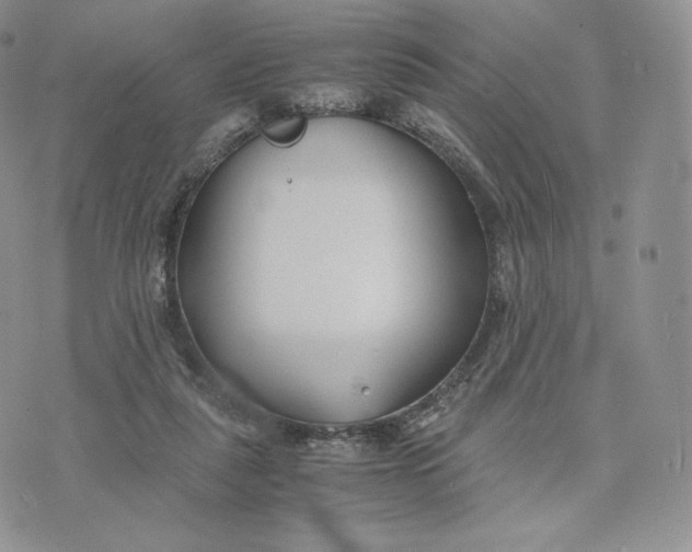 X0000075410259200609291713