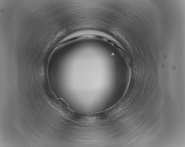 X0000075410260200609291713