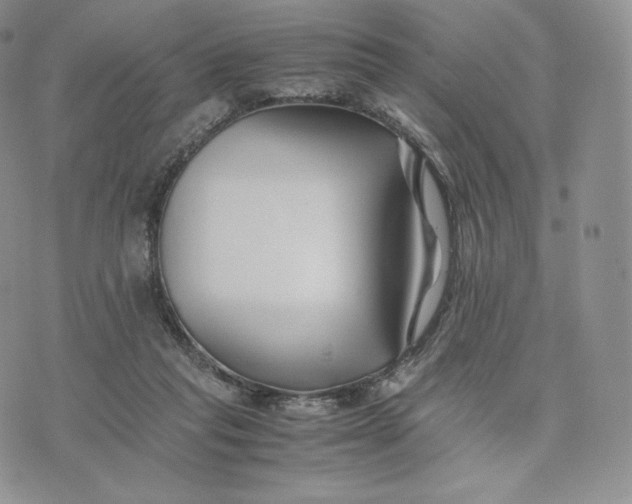 X0000075410261200609291713