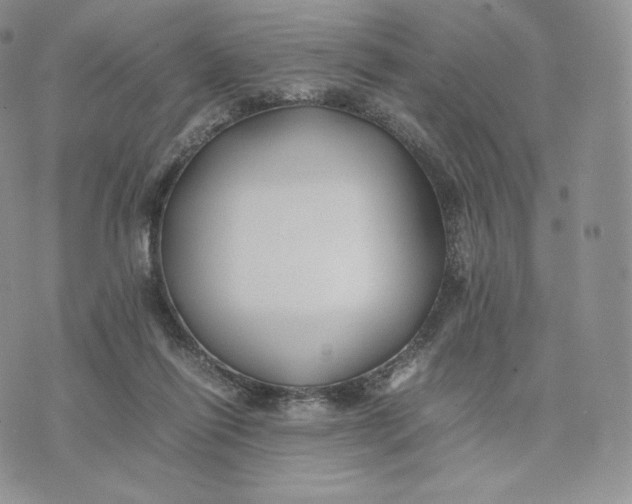 X0000075410262200609291714