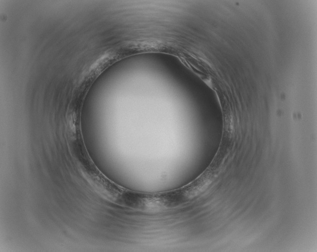 X0000075410264200609291714